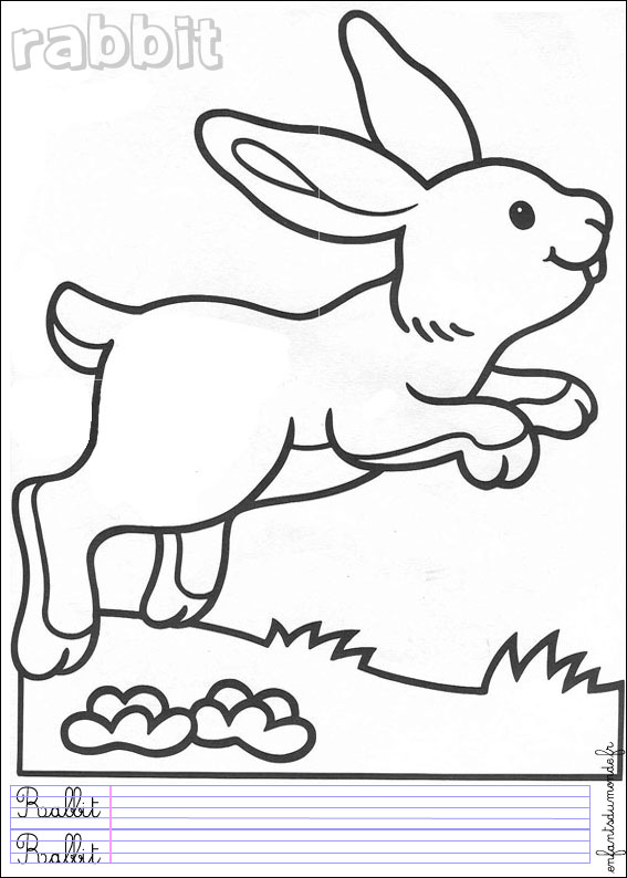 coloriage lapin 2